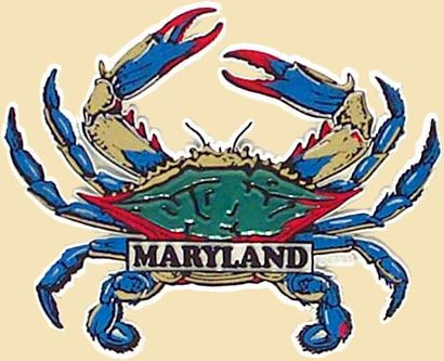 Maryland steamed crab recipe